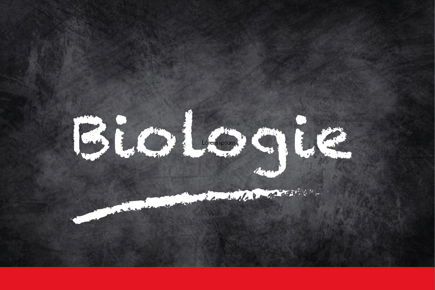 Bijles biologie in Heerhugowaard